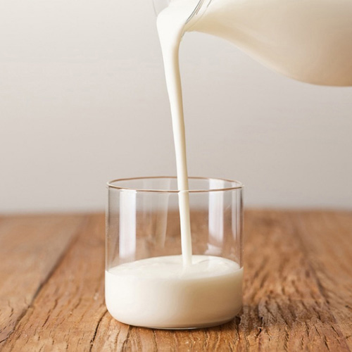 강훈목장 수제 요거트 500ml x 3개
